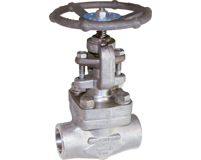 Stainless steel F316 globe valve 452 TRIM 10 800 lbs SW 1/2''